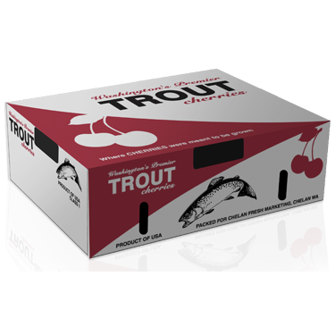 Trout Trout